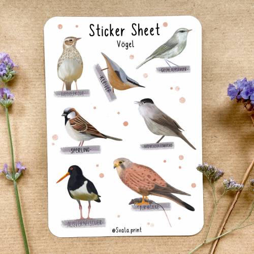 Sticker Singvögel | Aufkleber Bulletjournal | Journal Sticker | Sticker Natur & Vögel