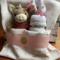 kleine Windeltorte mit Esel und Windelbaby, Babygeschenk Mädchen, kreatives Geschenk zur Geburt, auch mit Name Bild 1