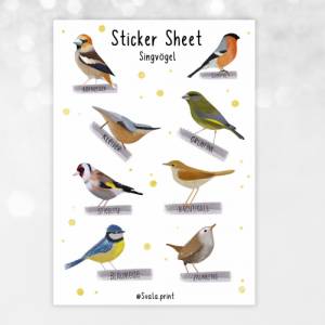 Sticker Singvögel | Aufkleber Bulletjournal | Journal Sticker | Sticker Natur & Vögel Bild 3