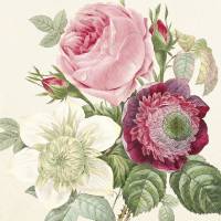 20 Lunchservietten Roses, mit Rosen in Beere, Rosa und Weiß Bild 1