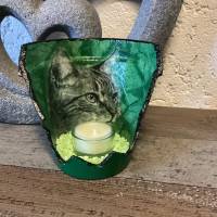 Windlicht-/Teelichthalter grün - stolze Katze Bild 1