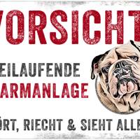 Hundeschild VORSICHT! FREILAUFENDE ALARMANLAGE (Englische Bulldogge), wetterbeständiges Warnschild Bild 1