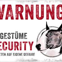 Hundeschild UNGESTÜME SECURITY (Bullterrier), wetterbeständiges Warnschild Bild 1