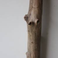 Treibholz Schwemmholz Driftwood  1 XXL Ast  Dekoration  Garten  Lampe  116 cm Bild 3