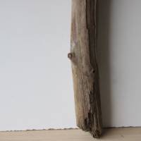 Treibholz Schwemmholz Driftwood  1 XXL Ast  Dekoration  Garten  Lampe  116 cm Bild 4