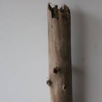 Treibholz Schwemmholz Driftwood  1 XXL Ast  Dekoration  Garten  Lampe  116 cm Bild 6