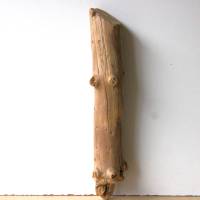 Treibholz Schwemmholz Driftwood  1 kleiner Stamm Dekoration  Garten  Lampe  50 cm Bild 1