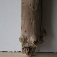 Treibholz Schwemmholz Driftwood  1 kleiner Stamm Dekoration  Garten  Lampe  50 cm Bild 2
