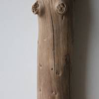 Treibholz Schwemmholz Driftwood  1 kleiner Stamm Dekoration  Garten  Lampe  50 cm Bild 3