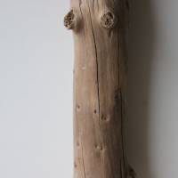 Treibholz Schwemmholz Driftwood  1 kleiner Stamm Dekoration  Garten  Lampe  50 cm Bild 5
