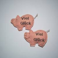 Glücksschweinchen,Glücksbringer für das "Neue Jahr" Viel Glück, Schwein, Talismann, Silvester, Mitbringsel Weihn Bild 1