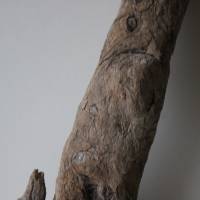 Treibholz Schwemmholz Driftwood  1 XL  Skulptur   Dekoration  Garten  Lampe  65 cm Bild 4