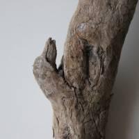 Treibholz Schwemmholz Driftwood  1 XL  Skulptur   Dekoration  Garten  Lampe  65 cm Bild 5