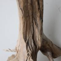 Treibholz Schwemmholz Driftwood  1 knorrige  Wurzel  Dekoration  Garten  Lampe  38  cm Bild 6