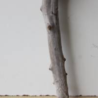 Treibholz Schwemmholz Driftwood  1    Wurzel  Dekoration  Garten  Lampe  63  cm hoch Bild 5