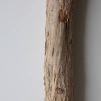 Treibholz Schwemmholz Driftwood  1 XXL  Ast   Dekoration  Garten  Lampe Garderobe   103 cm Bild 10