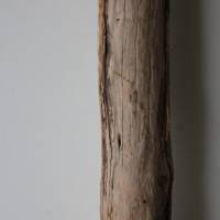 Treibholz Schwemmholz Driftwood  1 XXL  Ast   Dekoration  Garten  Lampe Garderobe   103 cm Bild 7