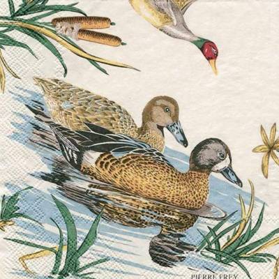 Cocktailservietten Sologne, schwimmende Enten im Schilff, von Caspari