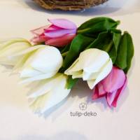 Tulpe-4-er weiß Bild 2
