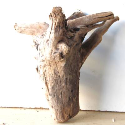 Treibholz Schwemmholz Driftwood  1    Wurzel  Dekoration  Garten  Lampe  35  cm hoch