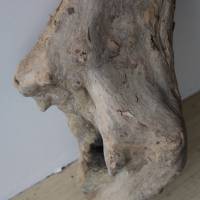 Treibholz Schwemmholz Driftwood  1 XXL  Skulptur   Dekoration  Garten  Lampe  117 cm Bild 3