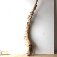 Treibholz Schwemmholz Driftwood  1 XXL  Skulptur   Dekoration  Garten  Lampe  117 cm Bild 6