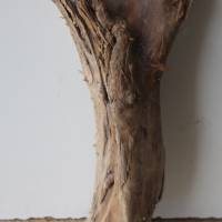 Treibholz Schwemmholz Driftwood  1  XL  Skulptur   Dekoration  Garten  Terrarium Weihnachten 96 cm Bild 10