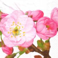 10 einzelne Lunchservietten Kirschblüte, Zweig mit rosa Kirschblüten, von Artebene Bild 1