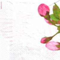 10 einzelne Lunchservietten Kirschblüte, Zweig mit rosa Kirschblüten, von Artebene Bild 2