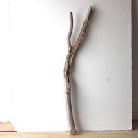 Treibholz Schwemmholz Driftwood  1 XXL  Ast   Dekoration  Garten  Lampe Garderobe   104 cm Bild 1