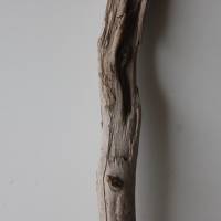 Treibholz Schwemmholz Driftwood  1 XXL  Ast   Dekoration  Garten  Lampe Garderobe   104 cm Bild 4