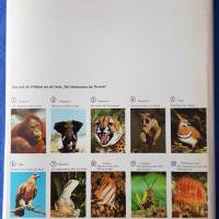 Buch Band 5 Vögel,  Die Geheimnisse der Tierwelt, Lekturama-Enzyklopädie Bild 2