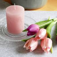Tulpe Mini rosa -3er Bild 1