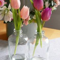 Tulpe Mini rosa -3er Bild 3