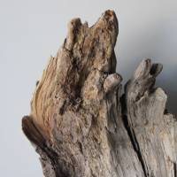Treibholz Schwemmholz Driftwood  1 XL  Skulptur   Dekoration  Garten  Terrarium Weihnachten 65 cm Bild 10