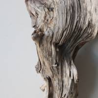Treibholz Schwemmholz Driftwood  1 XL  Skulptur   Dekoration  Garten  Terrarium Weihnachten 65 cm Bild 3