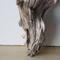 Treibholz Schwemmholz Driftwood  1 XL  Skulptur   Dekoration  Garten  Terrarium Weihnachten 65 cm Bild 4