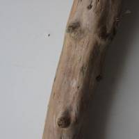 Treibholz Schwemmholz Driftwood  1 XXL  Ast   Dekoration  Garten  Lampe Garderobe   113 cm Bild 7