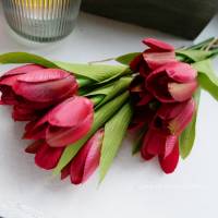 Tulpe rot 6er Bild 1