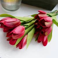 Tulpe rot 6er Bild 4
