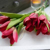 Tulpe rot 6er Bild 5