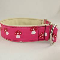 Hundehalsband "Glückspilz" Halsband Hund Outdoor abwaschbar mit Zugstopp oder Klickverschluss Bild 3