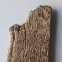 Treibholz Schwemmholz Driftwood  1  XXL   Brett   Dekoration  Garten  Regal Garderobe   85 cm Bild 3