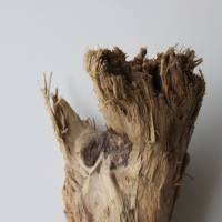 Treibholz Schwemmholz Driftwood  1  Stamm Dekoration  Garten  Lampe  50 cm Bild 3
