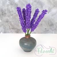 Lavendel Bild 4
