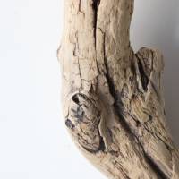 Treibholz Schwemmholz Driftwood  1 XXL  Ast   Dekoration  Garten  Lampe Garderobe   90 cm Bild 6