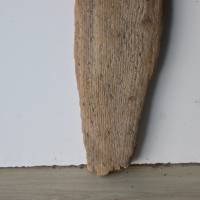 Treibholz Schwemmholz Driftwood  1  XXL   Brett   Dekoration  Garten  Regal Garderobe   106 cm Bild 5