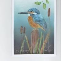 Grußkarte, Vogelmalerei-    Eisvogel-   handgemalt Bild 1
