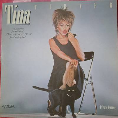 LP *** TINA TURNER *** Private Dancer ***