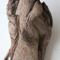 Treibholz Schwemmholz Driftwood  1 knorrige   Skulptur   Dekoration  Garten  Terrarium Weihnachten 33 cm Bild 9